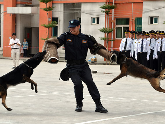 警犬護(hù)衛(wèi)